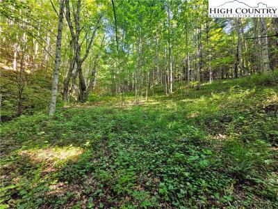 Immaculate Heart Way, Lansing, NC 28643, USA