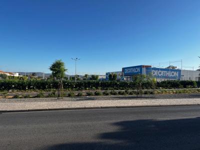 파로, 파로 8005-328, 포르투갈