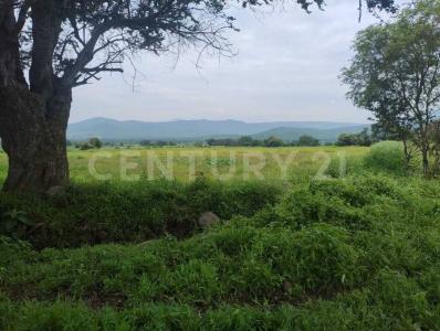 El llano ,, Miacatlan, 莫雷洛斯 62607, 墨西哥