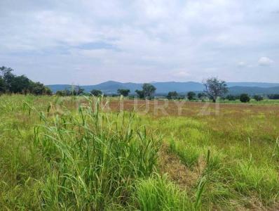 El llano ,, Miacatlan, 莫雷洛斯 62607, 墨西哥