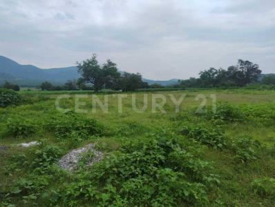El llano ,, Miacatlan, 莫雷洛斯 62607, 墨西哥