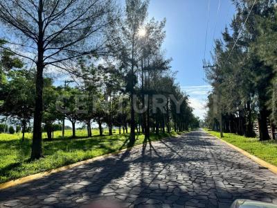 de los milagros, santuario santa rita 12,, San Francisco Del Rincón, Guanajuato 36468, Messico