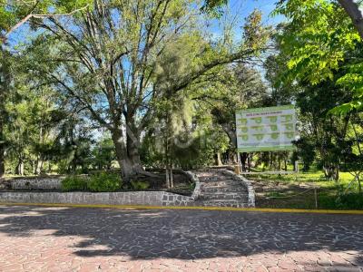 de los milagros, santuario santa rita 12,, San Francisco Del Rincón, Guanajuato 36468, Messico