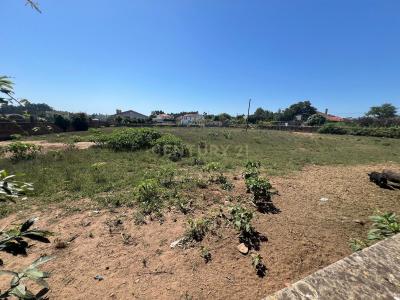 Ovar, Aveiro 3885-052, Portogallo
