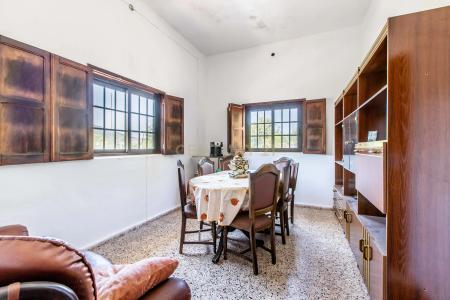 Loulé, 法如 8100-350, 葡萄牙