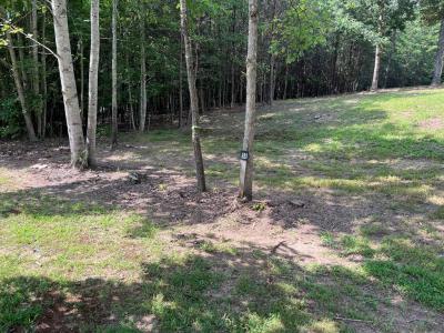 Lot 55 Ray Drive, Young Harris, Джорджия 30582, Соединенные Штаты