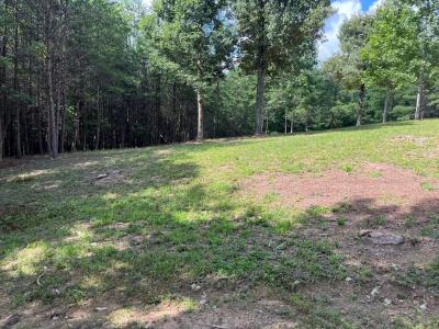 Lot 55 Ray Drive, Young Harris, Джорджия 30582, Соединенные Штаты