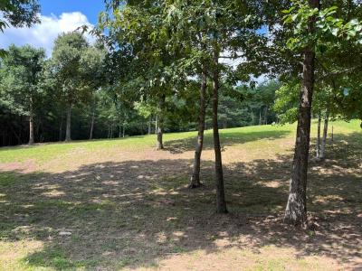 Lot 55 Ray Drive, Young Harris, Джорджия 30582, Соединенные Штаты