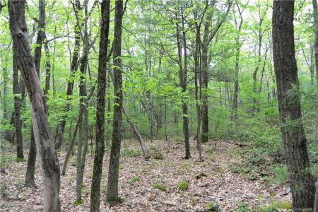 Sarine Road Lot 11 2.24 acres, Wurtsboro, New York 12790