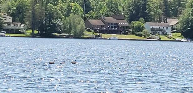 Sarine Road Lot 11 2.24 acres, Wurtsboro, New York 12790