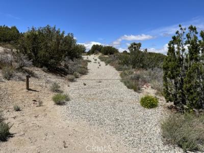 128 Longview Road, Juniper Hills, California 93553, USA