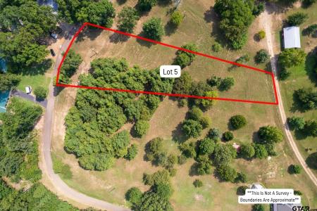 Lot 5 SW 2940, Pittsburg, 得克萨斯州 75686, 美国