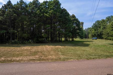 Lot 5 SW 2940, Pittsburg, 得克萨斯州 75686, 美国