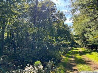 Proctor Road - Lot 3.8, Glen Spey, 纽约州 12737, 美国