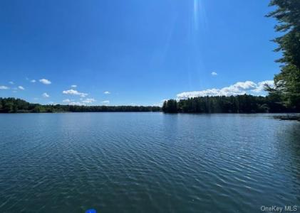 Proctor Road - Lot 3.8, Glen Spey, 纽约州 12737, 美国