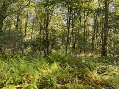 Proctor Road - Lot 3.8, Glen Spey, 纽约州 12737, 美国