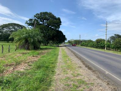 Tamarindo Santa Cruz, Guanacaste 00001, Costa Rica