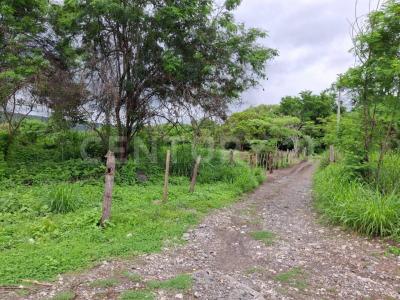 Finca Campestre 'El Milagro' S/N,, Apazapan, Veracruz 91631, Mexico