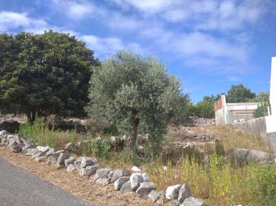 Porto De Mós, Leiria 2485-133, Portugal