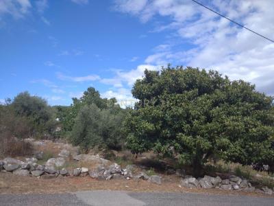 Porto De Mós, Leiria 2485-133, Portugal