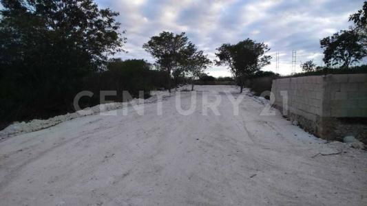 Hacienda chichi-hu S/N,, Izamal, Jukatan 97540, Meksyk