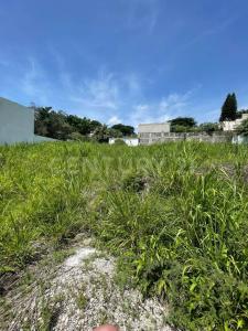 Calle Tabachines S/N Fracc Lomas de Cuernavaca lote 429,, Temixco, Морелос 62584, Мексика
