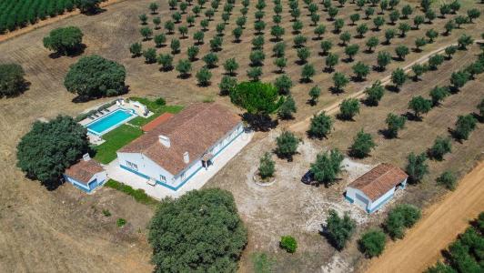 Sousel, Portalegre 7470-101, Portugal