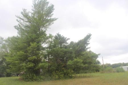 000 Lot 1 Prairie Lane, Bolivar, Missouri 65613, Estados Unidos