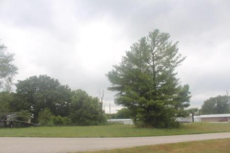 000 Lot 1 Prairie Lane, Bolivar, Missouri 65613, Estados Unidos