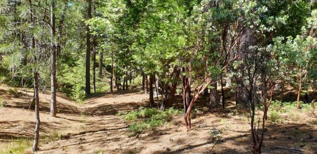 2568 Aspen Way, Arnold, California 95223, Estados Unidos