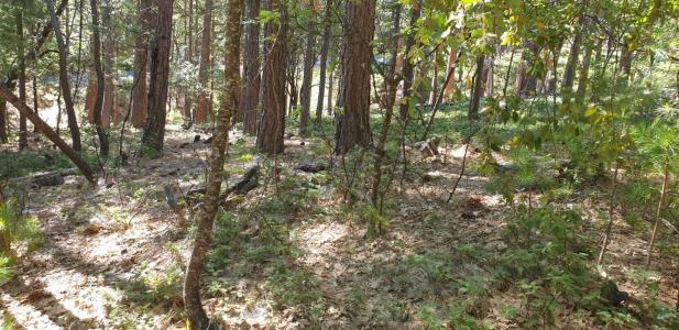 2568 Aspen Way, Arnold, California 95223, USA