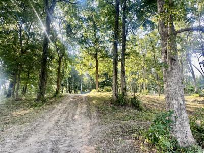 3411 Cecil Roberts Rd, Troy, Tennessee 38260, Amerika Birleşik Devletleri