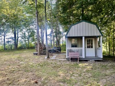 3411 Cecil Roberts Rd, Troy, Tennessee 38260, Amerika Birleşik Devletleri