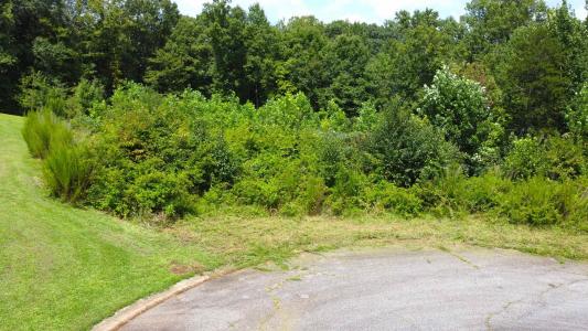 907 Aragon, Boiling Springs, South Carolina 29316