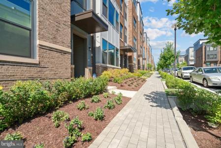 16110 Connors , 95, Rockville, Maryland 20855, Amerika Birleşik Devletleri
