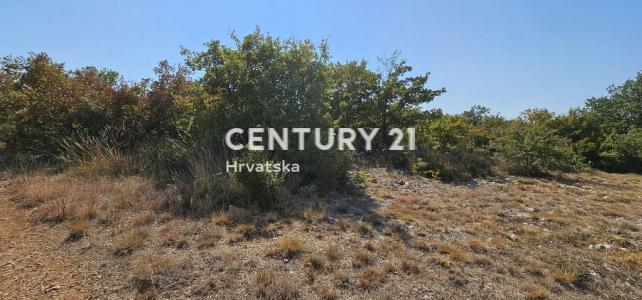 Polača, Polača, Zadarska Županija 23423, 크로아티아