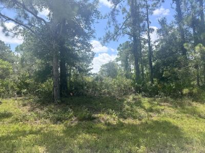 8411 Barquera Drive, Sebring, Flórida 33872, Estados Unidos