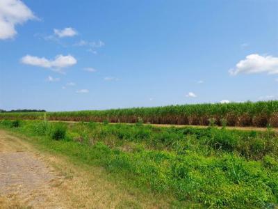 1326 Northwest Blvd., Franklin, Louisiana 70538, USA