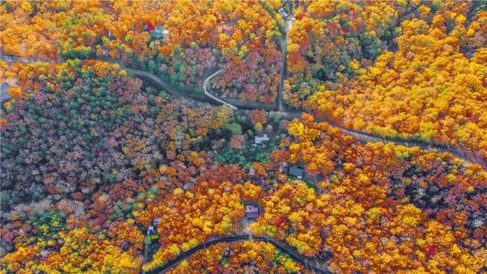 1899 Finale Street, Talking Rock, Géorgie 30175, États-Unis
