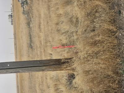 TBD SW El Camino Court, Mountain Home, Idaho 83647, Estados Unidos