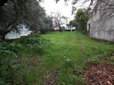 布朗库堡区, 布朗库堡区 6000-067, 葡萄牙