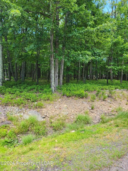 RV089 Turnberry Lane, Black Creek, Pennsylvania 18202, Stati Uniti