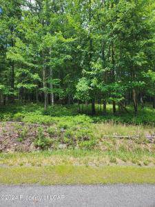 RV089 Turnberry Lane, Black Creek, Pennsylvania 18202, Stati Uniti