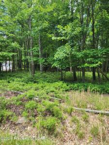 RV089 Turnberry Lane, Black Creek, Pennsylvania 18202, Stati Uniti