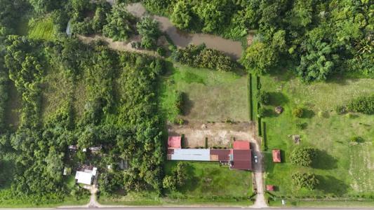 Forest Home, Toledo 00001, Belize