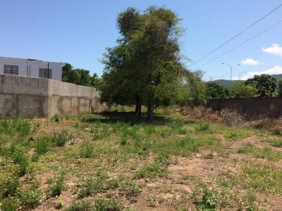 Avenida Cancamure s/n, Cumaná, 苏克雷 6101, 委内瑞拉