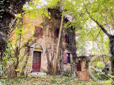 Morance, Rhône-Alpes 69480, France
