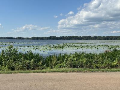 0 E Lakeview Drive & First Ave, Samburg, Tennessee 38254, USA