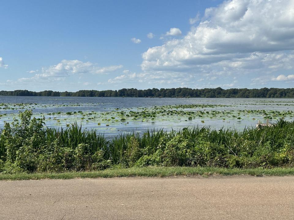 0 E Lakeview Drive & First Ave, Samburg, Теннесси 38254, Соединенные Штаты