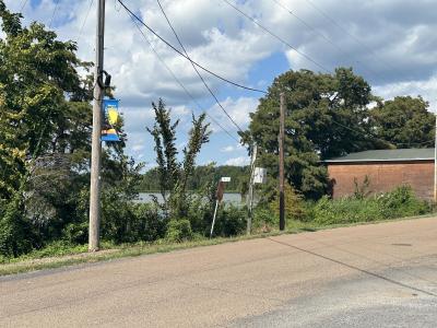 0 E Lakeview Drive & First Ave, Samburg, Tennessee 38254, USA